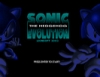 2인용 소닉 게임 Sonic Evolution