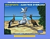 YETISPORTS Part4 Albatross Overload 썸네일