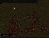 Crimson Land 썸네일