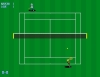 TENNIS 플래시게임 썸네일