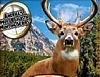 야생 동물 사냥 Hunting Unlimited 2009 썸네일