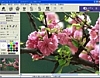 큐픽스 (QPix) 2.12 썸네일