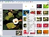 무료 이미지 보기,효과,편집 툴 엔뷰 nView 0.9.5.9 썸네일