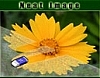 Neat Image 5.3 썸네일