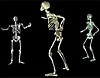 3D PERPETUAL DISCO ScreenSaver