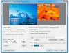 멀티 모니터 배경화면 DisplayFusion 3.5.0 Beta 3
