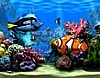 바다속 풍경 화면보호기FREE Living Marine Aquarium 2 ScreenSaver