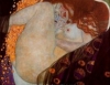 크림트 명화 화면보호기 Gustav Klimt Painting Screensaver 1.0
