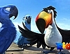 [윈도테마] Movies Rio Movie theme 썸네일