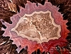 [윈도테마-Art (photograhpic)] The Macro World of Rocks 썸네일