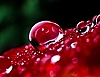 [윈도테마-Art (photograhpic)] Waterdrops 썸네일