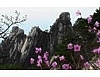 도봉산의 봄 동영상 도봉산 화면보호기 1.0 썸네일