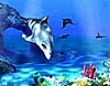 3D 돌고래 화면보호기 FREE Living 3D Dolphins ScreenSaver