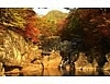 지리산 피아골계곡의 단풍 동영상 지리산 화면보호기 1.0