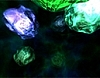 LIVING CELL 3D ScreenSaver 1.2