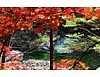 설악산 사계절 동영상 설악산 화면보호기 1.0