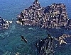 Seagull Island