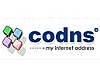 Codns 3.1.0 for Windows 9x/Me 썸네일