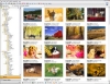 이미지 파일 관리, 편집 StudioLine Photo Basic 3.70.15.0